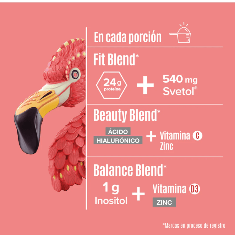 BIRDMAN suplementos Birdman, Fitmingo Proteína Vegetal 510 g Sabor Vainilla (15 porciones)
