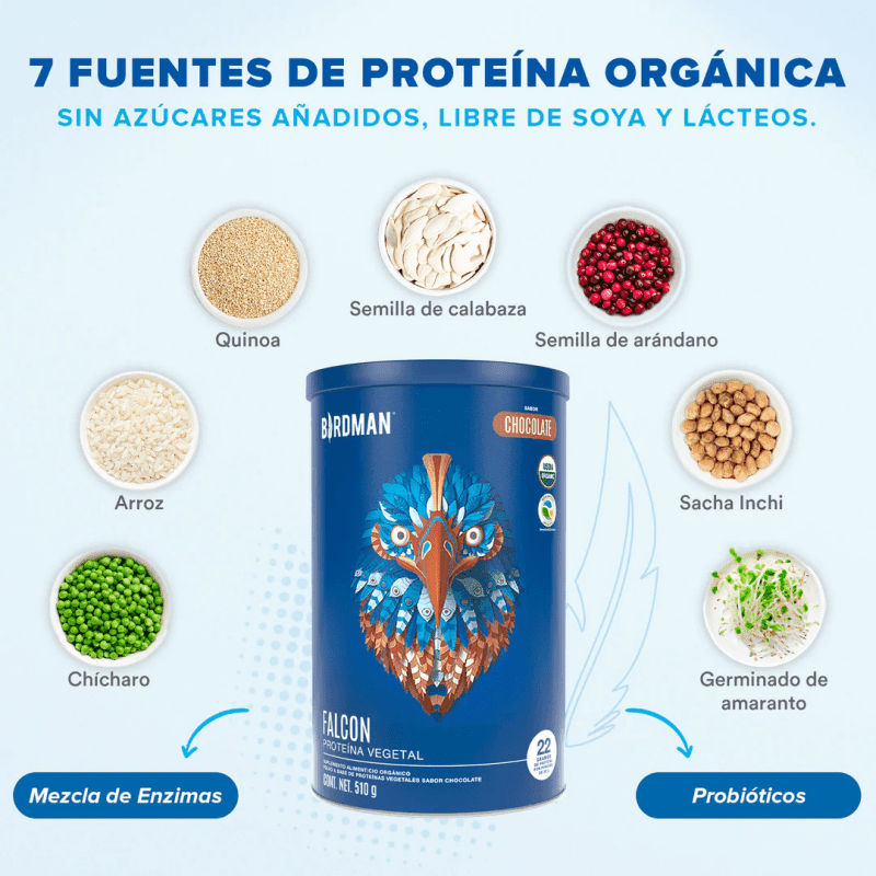 BIRDMAN Suplementos Birdman, Falcon Proteína Vegetal 510 g Sabor Chocolate (17 porciones)