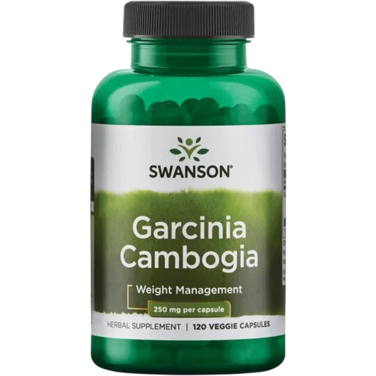 Swanson, Garcinia Cambogia 250 mg (120 veg cápsulas)